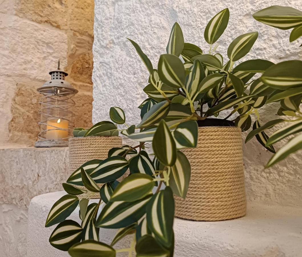 Tulipano Bianco Apartment Ostuni Exterior photo
